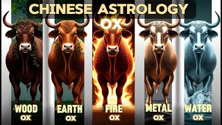 wood fire earth metal and water Ox Chinese Astrology [upl. by Aimac]