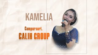 KAMELIA cover LINDA II CS GALIH GROUP II GALIH SOUND II MitraHD [upl. by Grimona753]