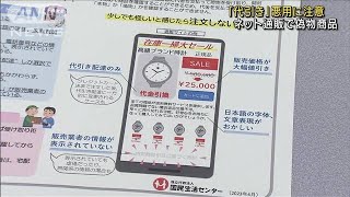 ネット通販で偽物商品 「代引き」悪用に注意2023年5月3日 [upl. by Geirk]