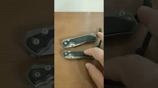 Chris Reeve Sebenza 31 Small vs Large Knife Size Comparison [upl. by Donalt190]