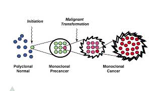 Multistep carcinogenesis [upl. by Teilo]