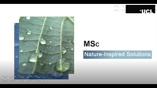 UCL NatureInspired Solutions MSc [upl. by Sukhum647]