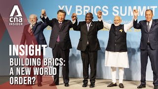 Will A Bigger BRICS Usurp The USLed World Order  Insight  Full Episode [upl. by Fauch]