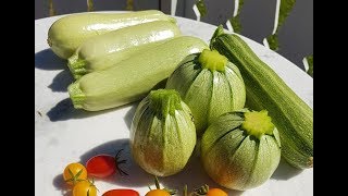 21 Hvordan kan vi få mange squash fra kun en plante [upl. by Slen515]