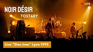 Noir Désir  Tostaky Live officiel « Dies Irae »  Lyon 1993 [upl. by Ardnusal]