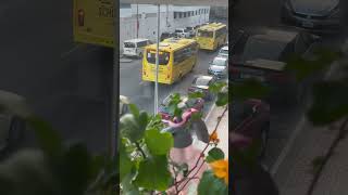 lets go schoolyellow school buses 🚌🚌🚌dubai youtubedubai morning street view [upl. by Ifok]