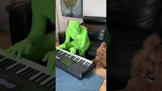 Nero dog plays piano duet [upl. by Aihsein]