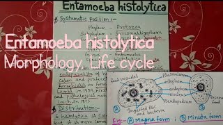 Entamoeba histolytica full notes explain in hindi  part 1 [upl. by Gerdeen448]