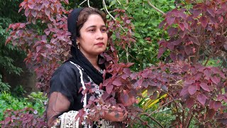 Daily vlogging VillageLife With Nazo Noor Pakistani Family VillageGirl FamilyFun [upl. by Lawlor]