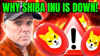 WHY SHIBA INU IS DOWN TODAY BREAKING SHIBA INU COIN NEWS [upl. by Nuli90]