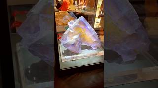 Giant Fluorite Crystal from Illinois ✨💎 fluorite crystals geology iloverocks [upl. by Finlay516]