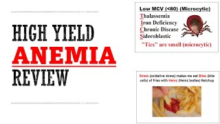 Anemia Review  Mnemonics And Proven Ways To Memorize for your exams [upl. by Borek]