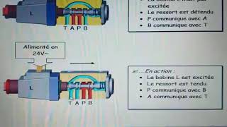 les types de distributeurs [upl. by Enicul882]