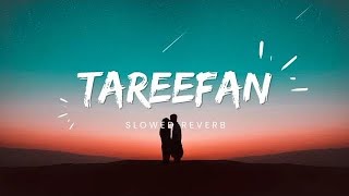 TAREEFAN LOFI SONG lofi song trending viral [upl. by Oslec]