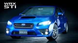 2015 Subaru WRX STI  Walk Around product information [upl. by Ynnaf]