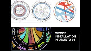 Circos  circular chord diagram software installation  ubuntu [upl. by Elcin]