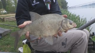 Trabucco TV  Match Spot  Laghi di Mantova  Ep 2  Pole Fishing [upl. by Luapnaej449]