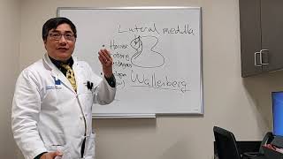 Lateral Medullary syndrome  Wallenberg syndrome [upl. by Furlong260]