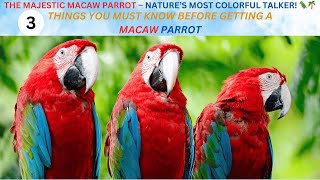 The Majestic Macaw Parrot – Nature’s Most Colorful Talker 🦜🌴 [upl. by Mihe]