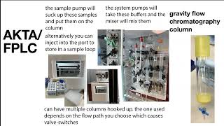 Elution terms strategies stepwise gradient etc amp practical tips esp for protein chromatography [upl. by Aciretahs946]