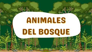 Animales del Bosque en Español para Niños  Video Educativo [upl. by Haerdna906]