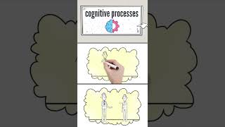 Whats the Importance of Cognitive Processes [upl. by Langdon]