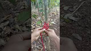 Knot Rope Trick knotskill knot short [upl. by Pestana324]