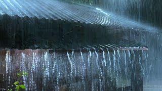 🔴 Rain on tin roof to sleep 247 heavy rain and thunder on metal roof at night [upl. by Auhso]