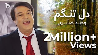 پیپسی ساز و سرود  وحید صابری  دل تنگم  Wahid Saberi  Dil Tangam [upl. by Condon]