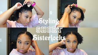 Sisterlocks on Thin Hair  6 Month Update [upl. by Atillertse698]