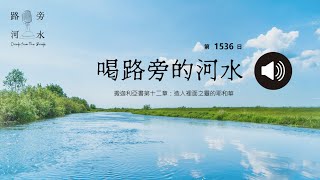 【喝路旁的河水】：第1536日（撒迦利亞書第十二章：造人裡面之靈的耶和華） [upl. by Nereus]