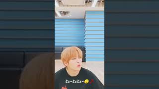 ℒℯℯ 𝓀𝓃ℴ𝓌🐰妄想｢𝐬𝐭𝐚𝐲 俺のセーター返しやがれください～｣ straykids skz망상 [upl. by Jamal]