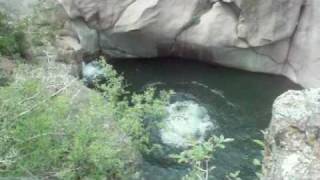 100ft cliff jump Guffey Gulch [upl. by Kwei]