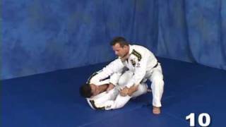 Saulo Ribeiro JiuJitsu Revolution 1  The Guard [upl. by Annnora]