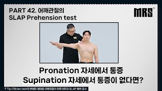 Part 42 어깨관절의 SLAP prehension test 📌MRS 재활 트레이너를 위한 ONE STOP EDUCATION [upl. by Garvey794]