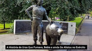 A Impressionante História do Urso Que Fumava Bebia e Ainda Lutava no Exército [upl. by Iturk]