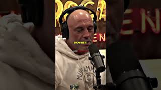 Joe Rogan Reacts to SHOCKING Shark Attack on Plexiglass box [upl. by Siramay]