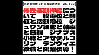 【25103】体性運動神経について 膜電位と閾値と活動電位 シュワン細胞と軸索と髄鞘 シナプス小胞とアセチルコリン ランヴィエ絞輪と跳躍伝導！ 言語聴覚士 ST 国家試験対策 [upl. by Spanjian286]