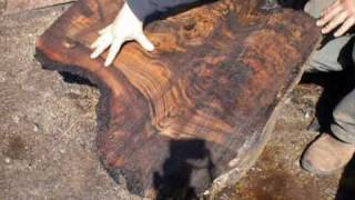 Claro Walnut Burl Cutting by OregonBurlscom [upl. by Namad]