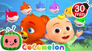 Baby Shark Colors Song  More CoComelon JJs Animal Time Kids Songs  Animal Songs for Kids [upl. by Nellaf613]