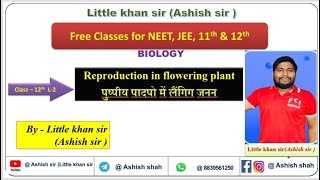 L2BIOLOGY CLASS12 CHAPTER1REPRODUCTION IN PLANTLITTLE KHAN SIRASHISH SIRNEETMP PATICARBHU [upl. by Ahsinej808]