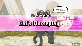 Horse Whispering CatCat’s Horseplay Miitopia [upl. by Batholomew]