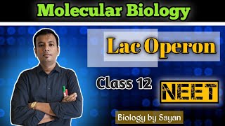 LacOperon Molecular Biology Class 12 NEET [upl. by Illak718]