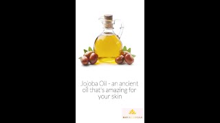 Why Jojoba oil is amazing [upl. by Shanan]