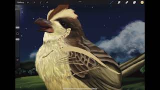 Drawing  Pidgey p2 ft pokemon card first gen flying bird landscape skeleton [upl. by Aiden149]