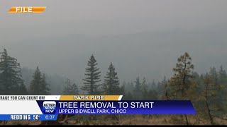 Tree removal to start in Upper Bidwell Park [upl. by Adiehsar]