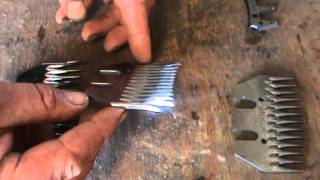 Shearing  The difference between shearing combs and cutters different types [upl. by Redlac826]