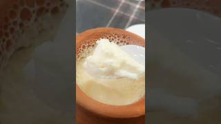 শখের হাঁড়ি  Yogurt 💖shorts shortvideo [upl. by Rivi]