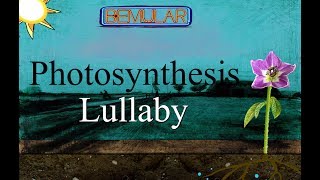 Bemular  Photosynthesis lullaby [upl. by Kwarteng]