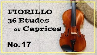 Etude ChallengeFIORILLO 36 Etudes or Caprices No17 [upl. by Lefkowitz733]